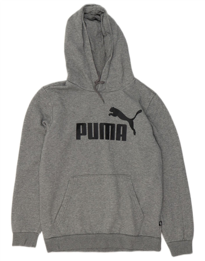 Felpa con cappuccio grafica PUMA da uomo piccola in cotone grigio