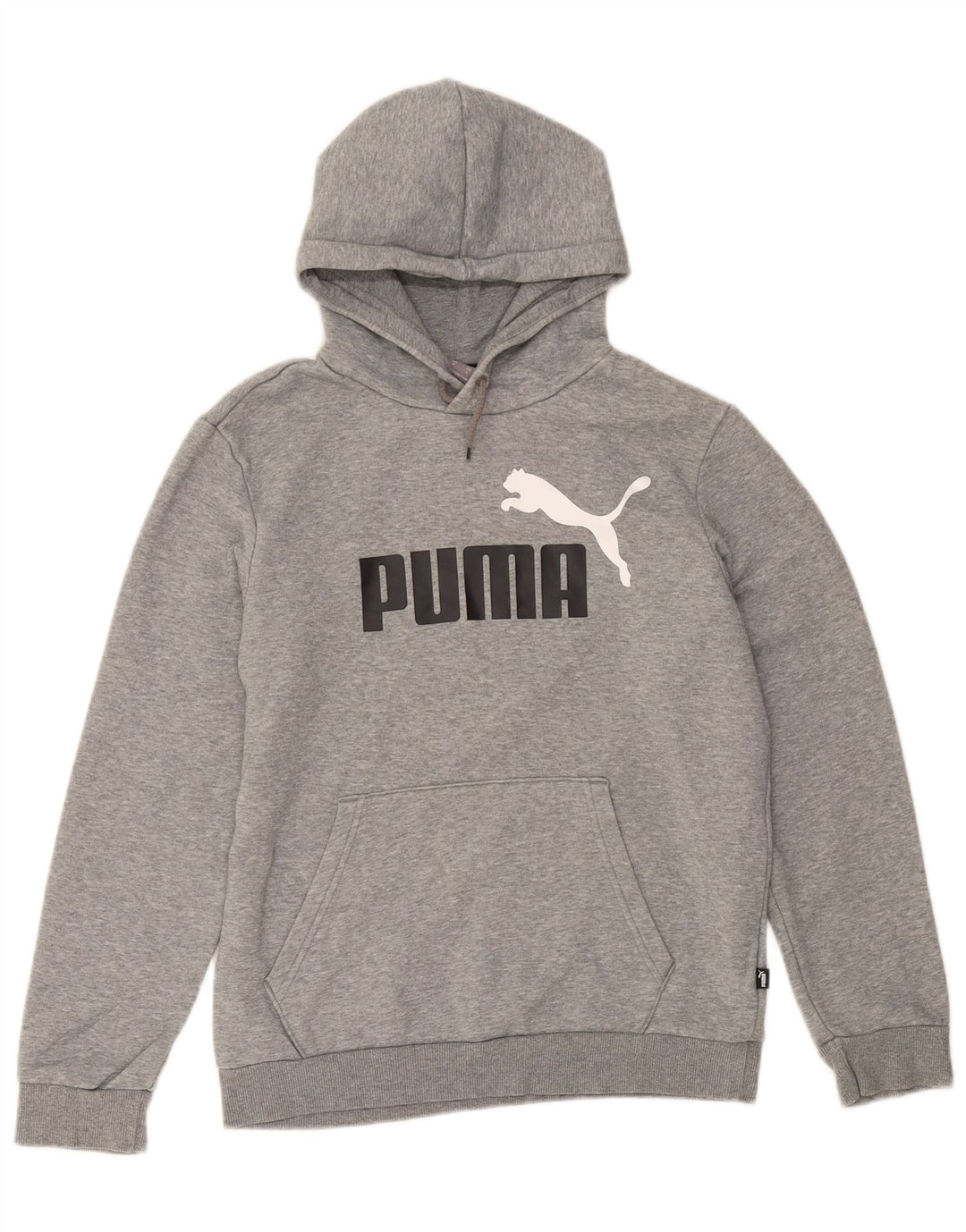 Felpa con cappuccio grafica da uomo Puma piccola in cotone grigio