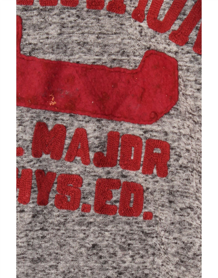 CHAMPION Felpa con grafica da uomo Maglione piccolo cotone chiazzato grigio