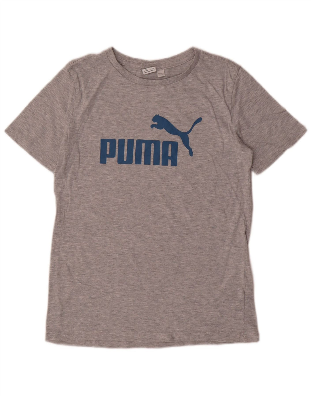 T-shirt grafica PUMA da bambino 14-15 anni, grande, in cotone grigio