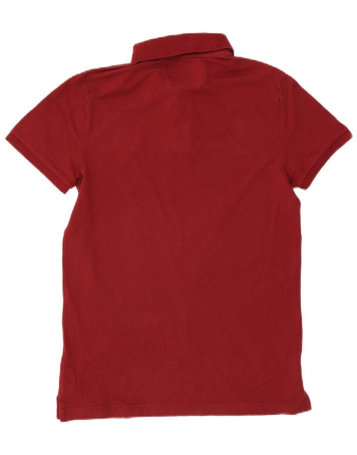 Polo Hollister da uomo piccola marrone