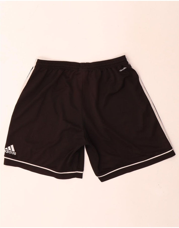 Pantaloncini sportivi Adidas Climalite da uomo grandi in poliestere nero