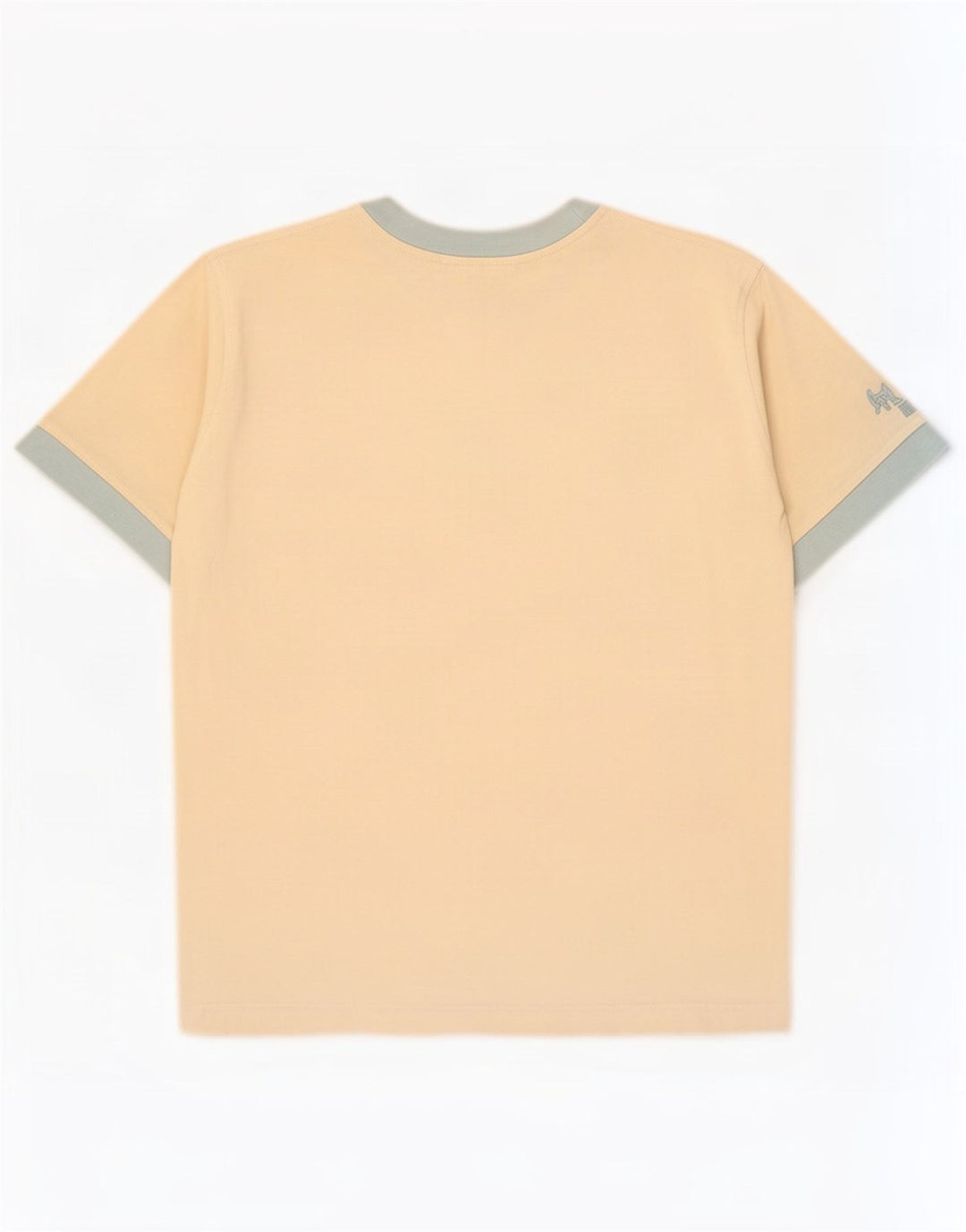 T-shirt grafica da uomo Puma Top Small Off White Colourblock