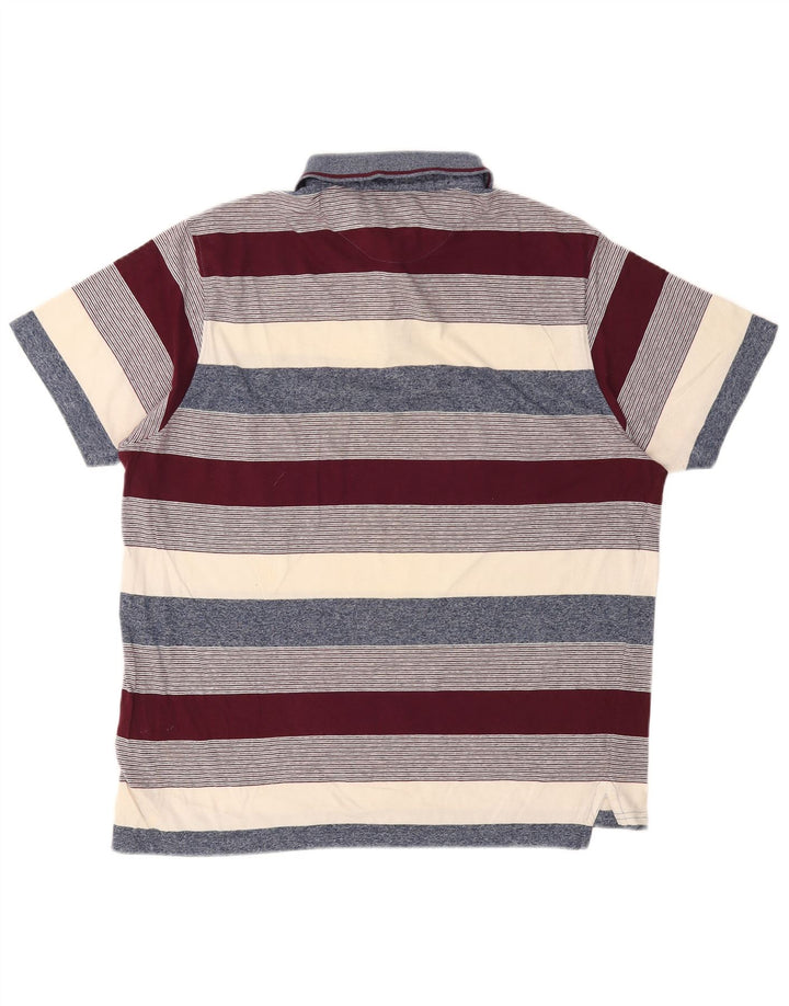 Polo da uomo Pierre Cardin grande in cotone a righe multicolori