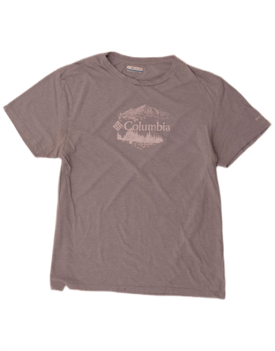 T-shirt grafica da uomo Columbia grande grigia
