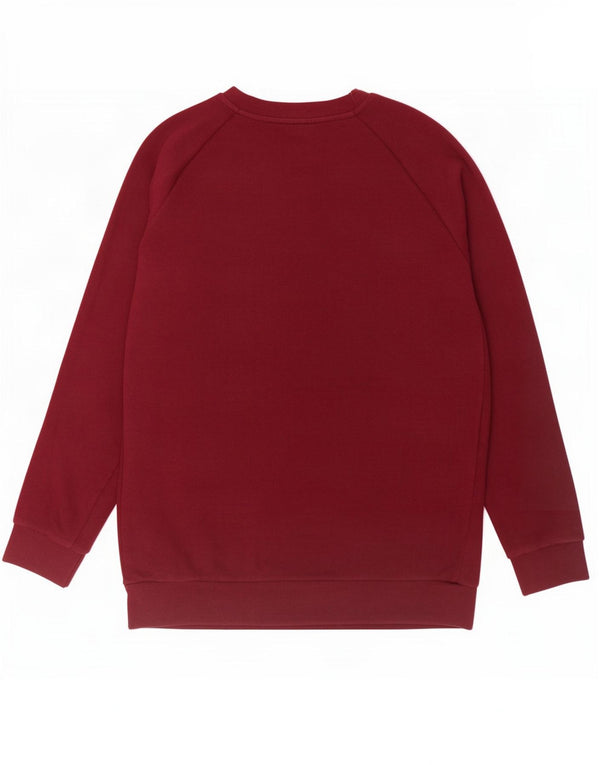 Felpa grafica da uomo Adidas Maglione grande in cotone bordeaux
