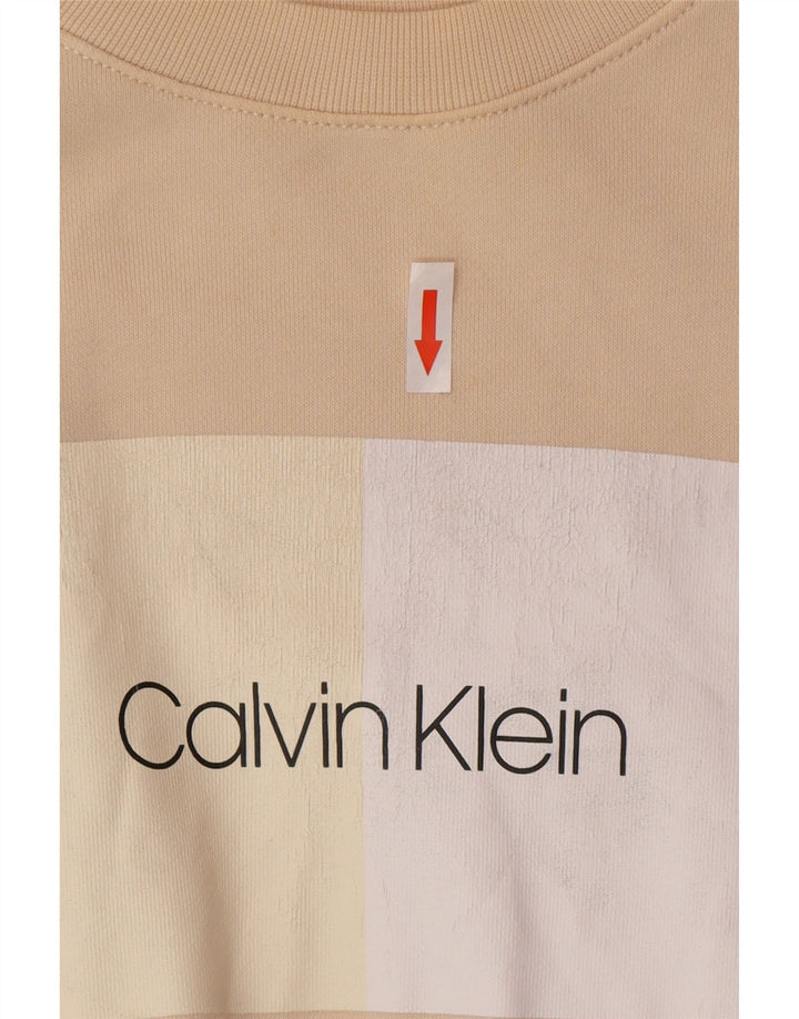 Felpa oversize con grafica da donna Calvin Klein, maglione, UK 10, piccola, beige