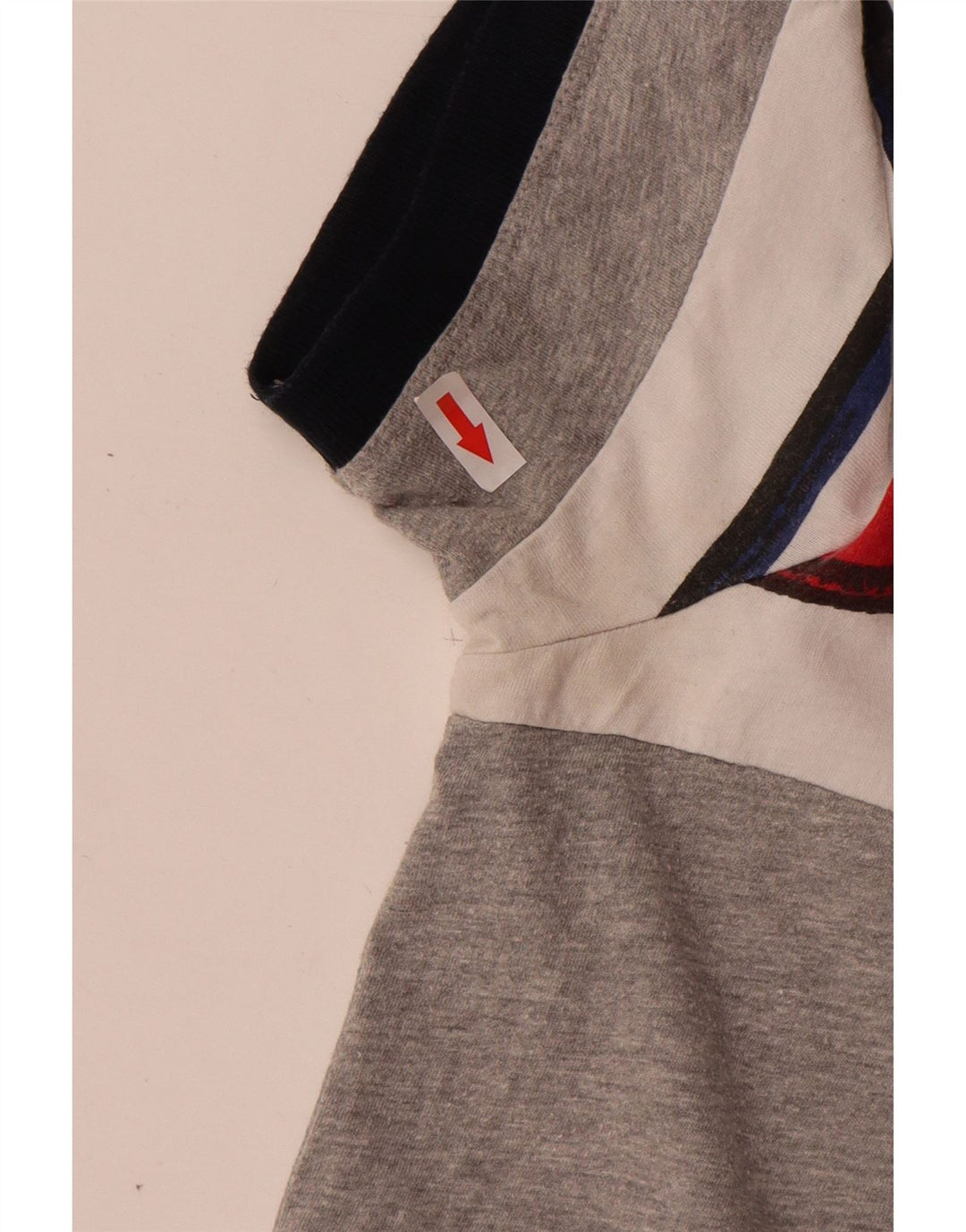 Polo grafica da uomo Desigual grande in cotone grigio