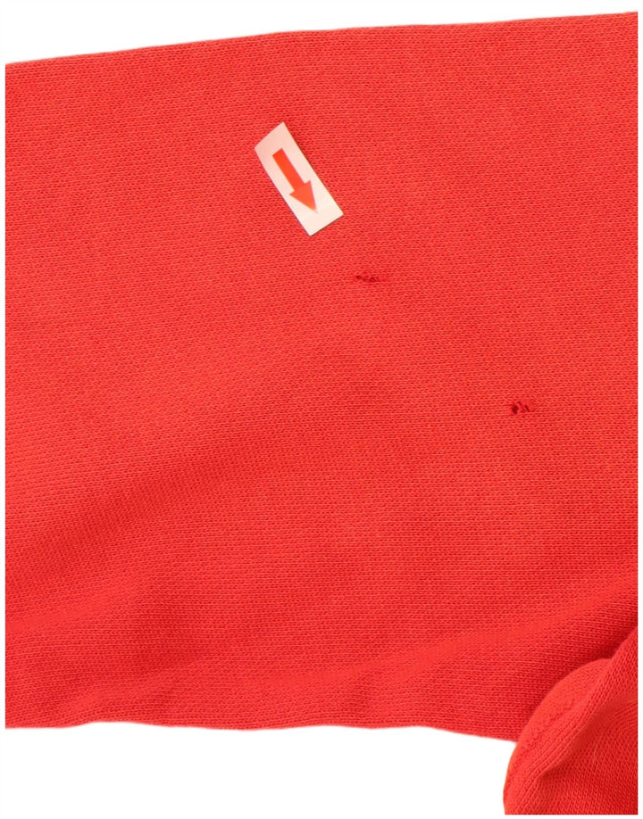 Polo Ralph Lauren Felpa con cappuccio grafica da uomo in cotone rosso medio