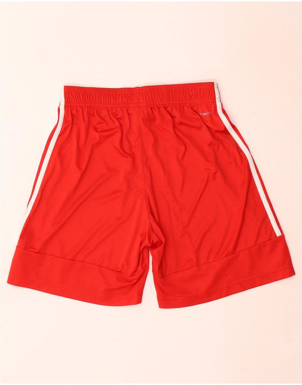 Pantaloncini sportivi Adidas Climalite da uomo in poliestere rosso medio
