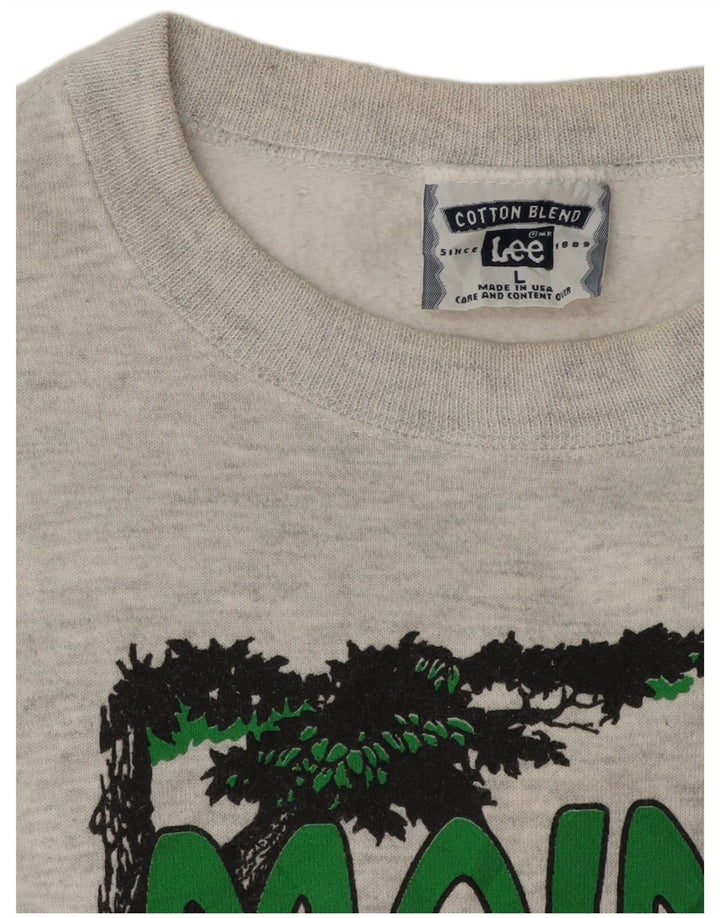 Felpa grafica da uomo Lee, maglione grande, cotone chiazzato grigio