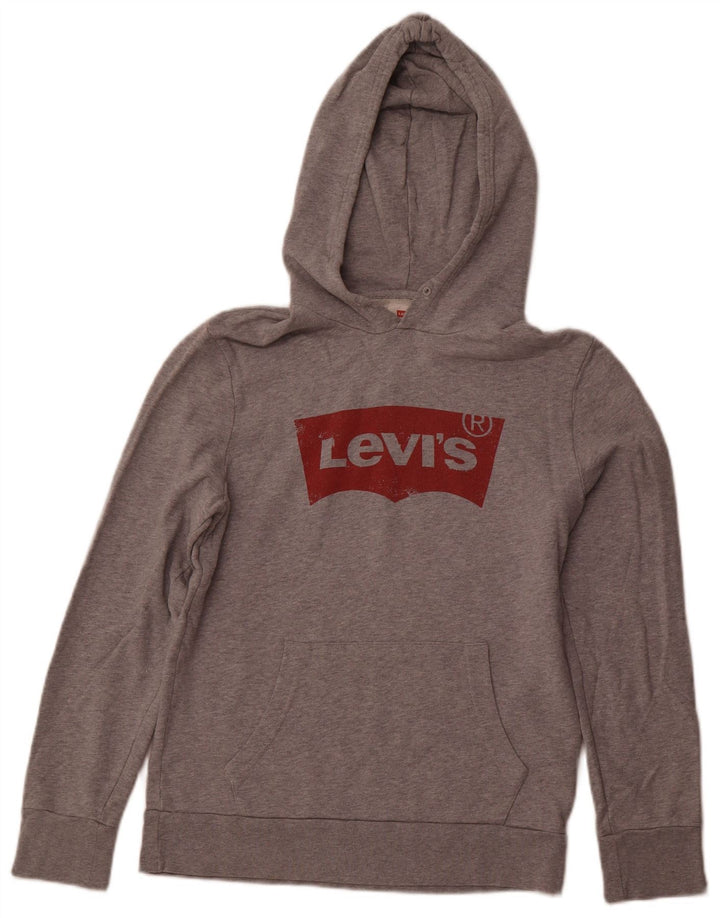 Maglione con cappuccio grafico da uomo Levi's piccolo in cotone grigio