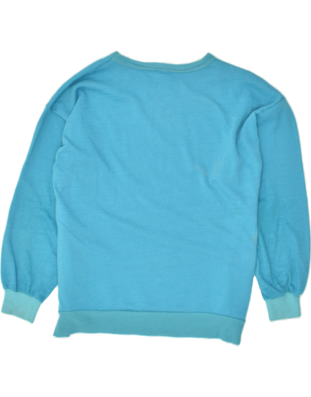 VINTAGE Mens Graphic Sweatshirt Jumper Large Blue Vintage Vintage and Second-Hand Vintage from Messina Hembry 