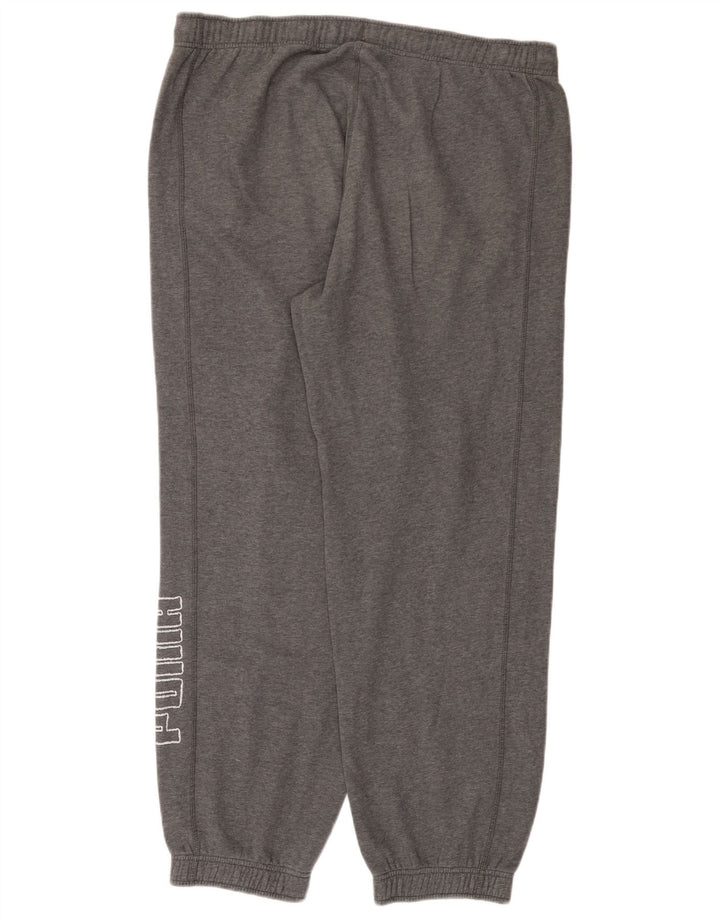 Pantaloni da tuta grafica da uomo Puma Joggers Large Grigi