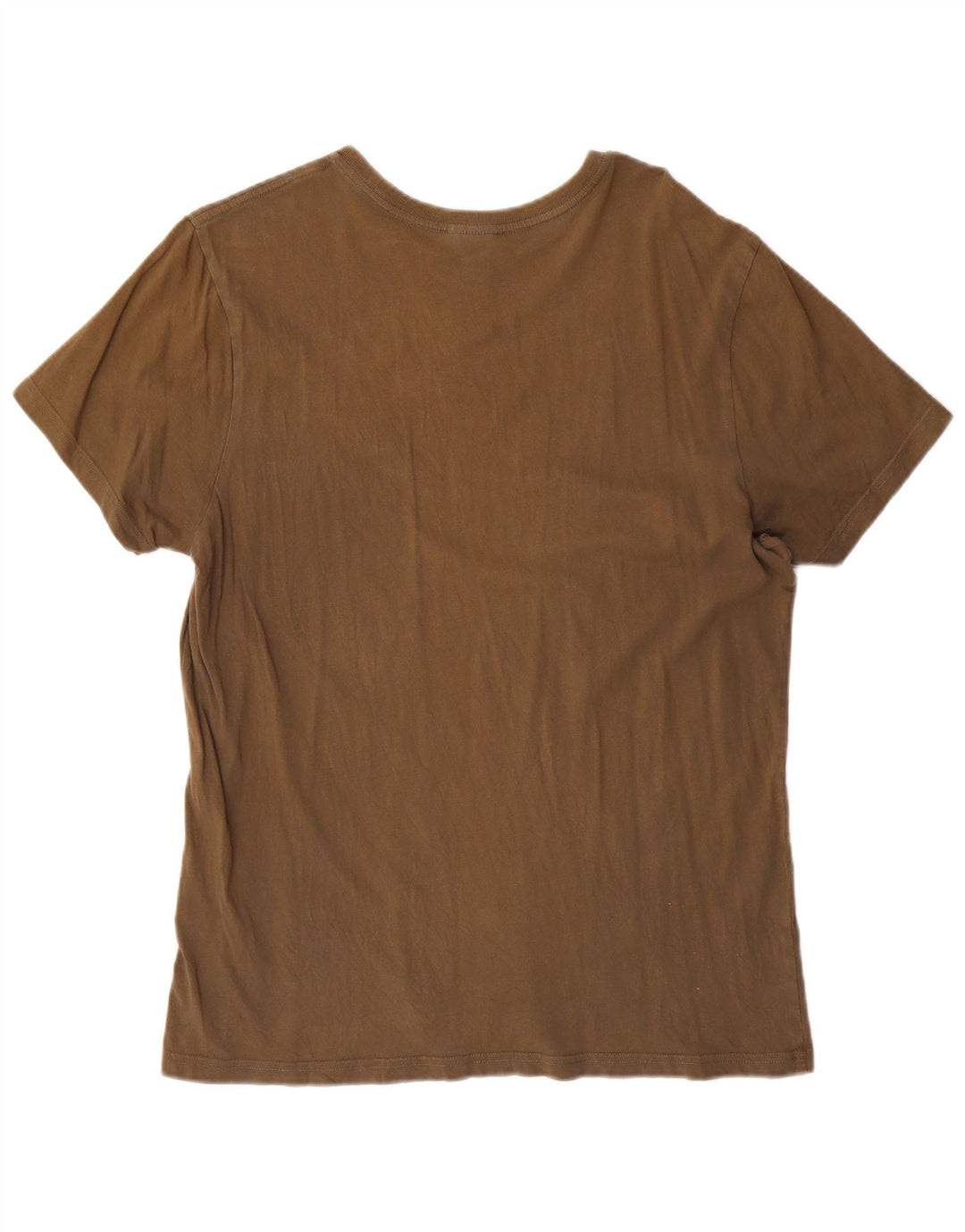 T-shirt grafica da uomo The North Face grande marrone