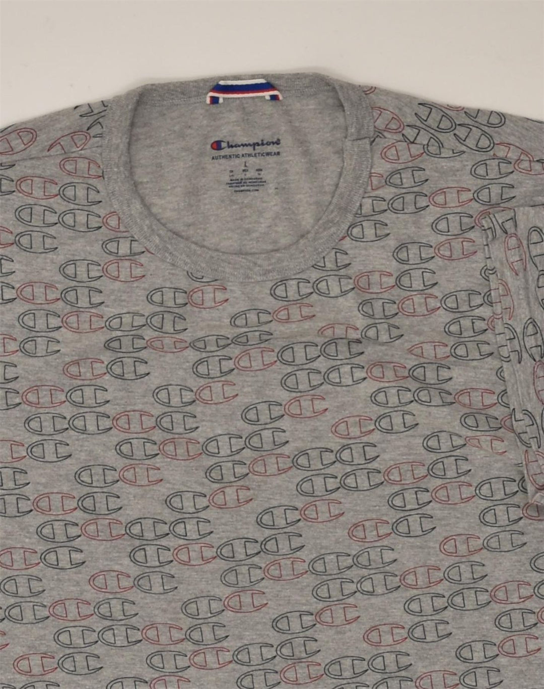CHAMPION Womens Slim Graphic T-Shirt Top Large Grey | Vintage Champion | Thrift | Second-Hand Champion | Used Clothing | Messina Hembry 