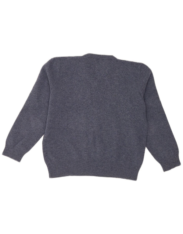 Polo Ralph Lauren Mens V-Neck Jumper Sweater XL Blue Lambswool
