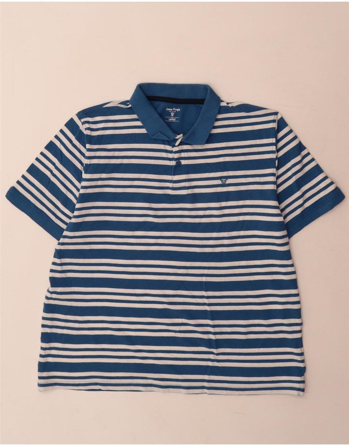 Polo da uomo James Pringle in cotone a righe grandi blu