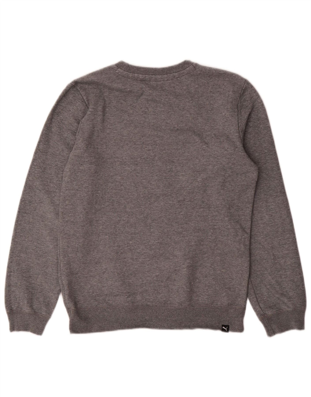 Felpa con grafica PUMA per ragazzi 13-14 anni Grigia