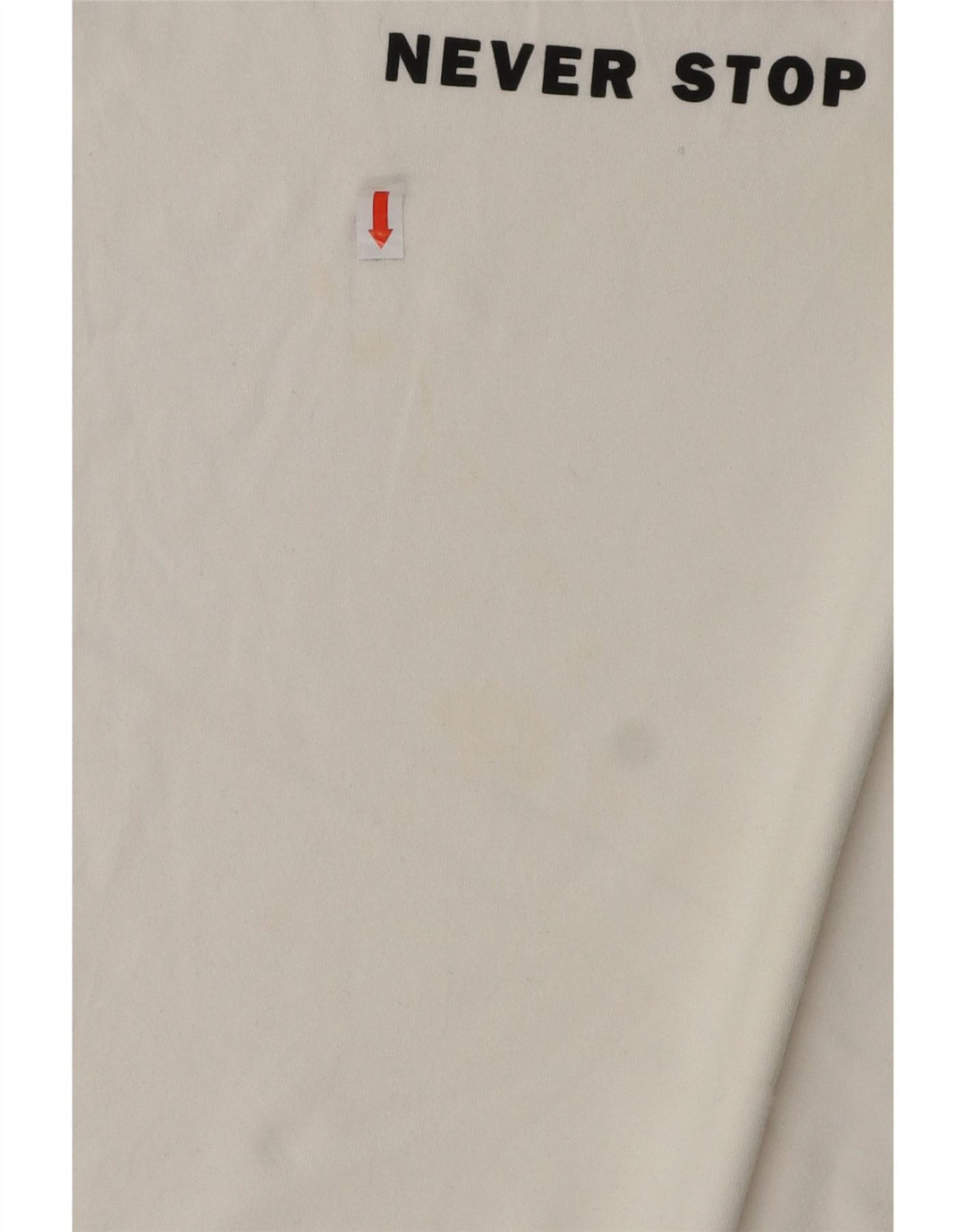 THE NORTH FACE T-shirt grafica da uomo grande in cotone bianco