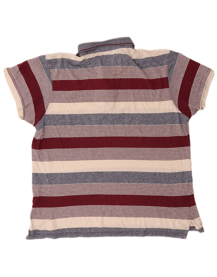 Polo da uomo dalla vestibilità regolare Pierre Cardin, a righe grandi, multicolore