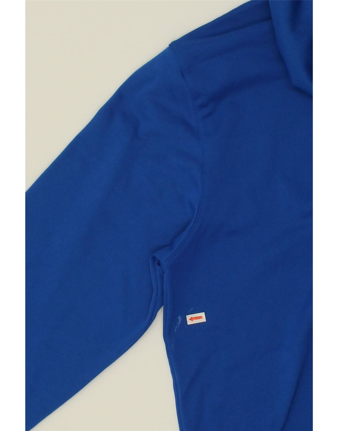 CHAMPION Mens Hoodie Jumper Large Blue Polyester Vintage Champion and Second-Hand Champion from Messina Hembry 