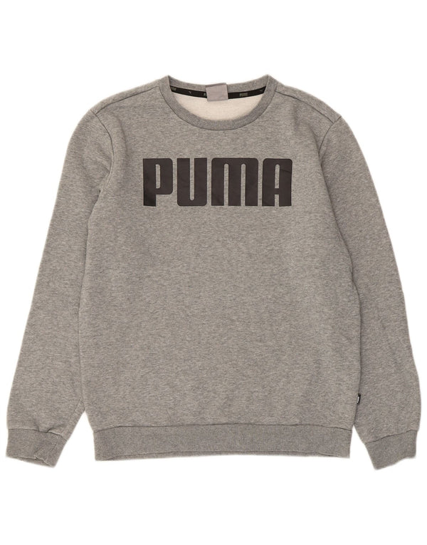 Felpa grafica da uomo Puma Maglione piccolo in cotone grigio