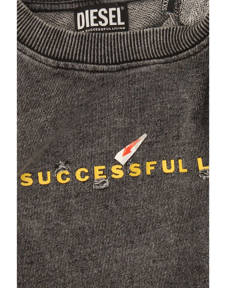Felpa grafica da uomo Diesel Maglione 2XS Grigio