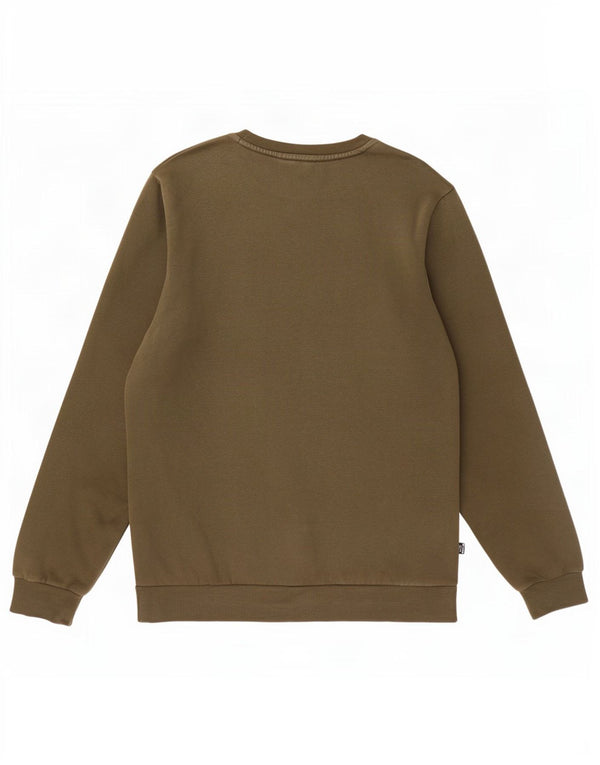 Felpa grafica da uomo Puma, maglione medio, cotone kaki