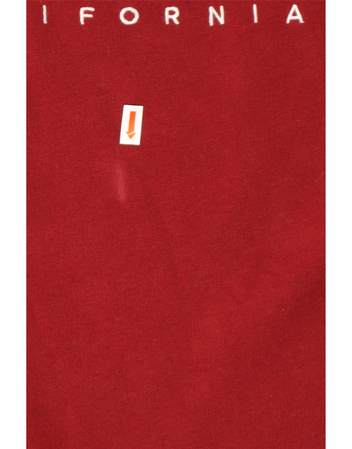 HOLLISTER Felpa grafica da uomo Maglione grande in cotone bordeaux