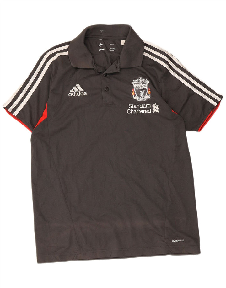 Polo grafica Adidas da uomo Liverpool Small in poliestere color block grigio