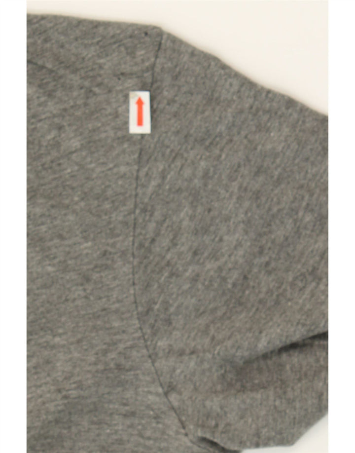 IZOD Mens T-Shirt Top Medium Grey Cotton Vintage Izod and Second-Hand Izod from Messina Hembry 