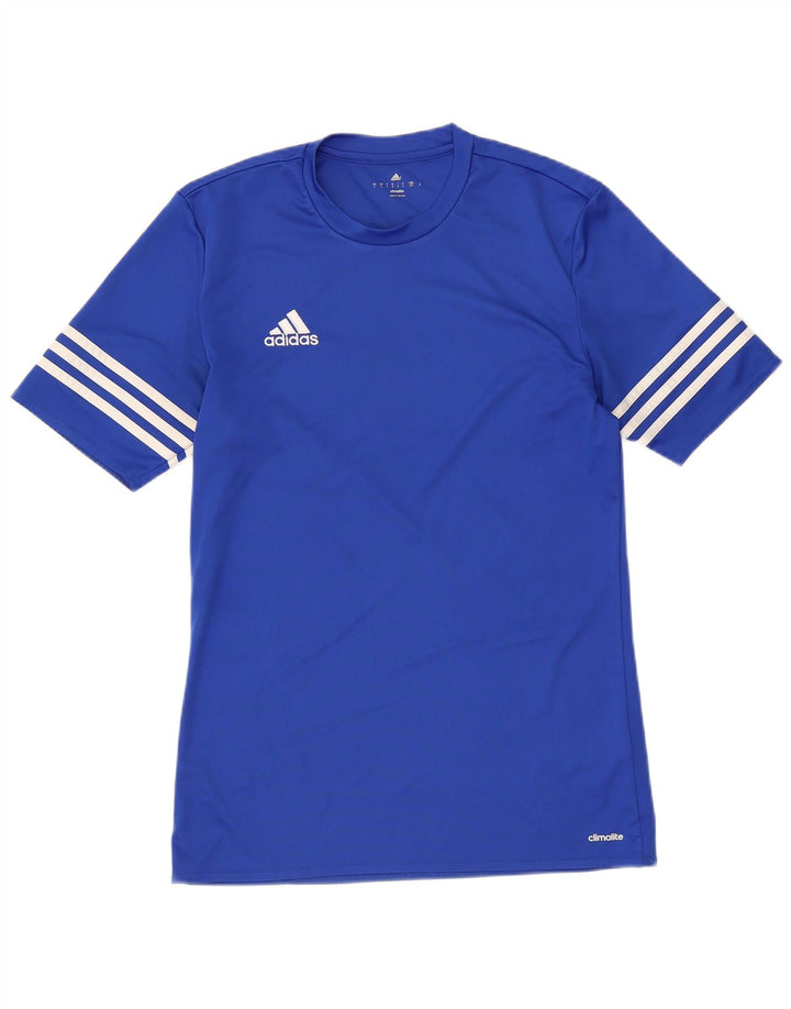 T-shirt ADIDAS Climalite da uomo piccola in poliestere blu