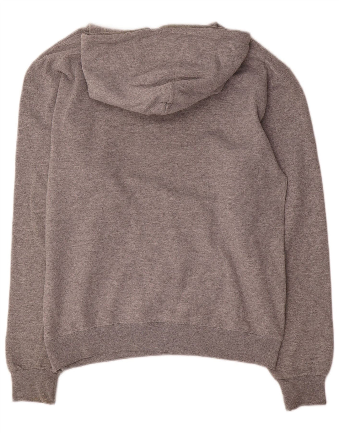 Maglione con cappuccio Champion Harvard Graphic Regular Fit da uomo grigio medio