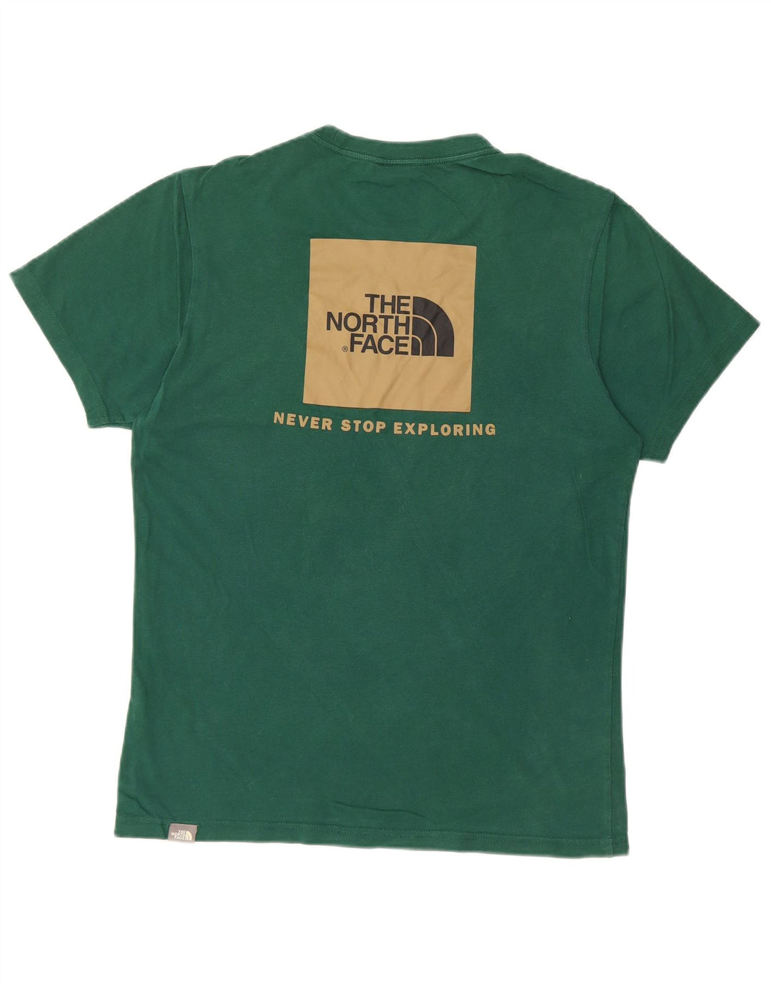 THE NORTH FACE T-shirt grafica da uomo Top piccola verde