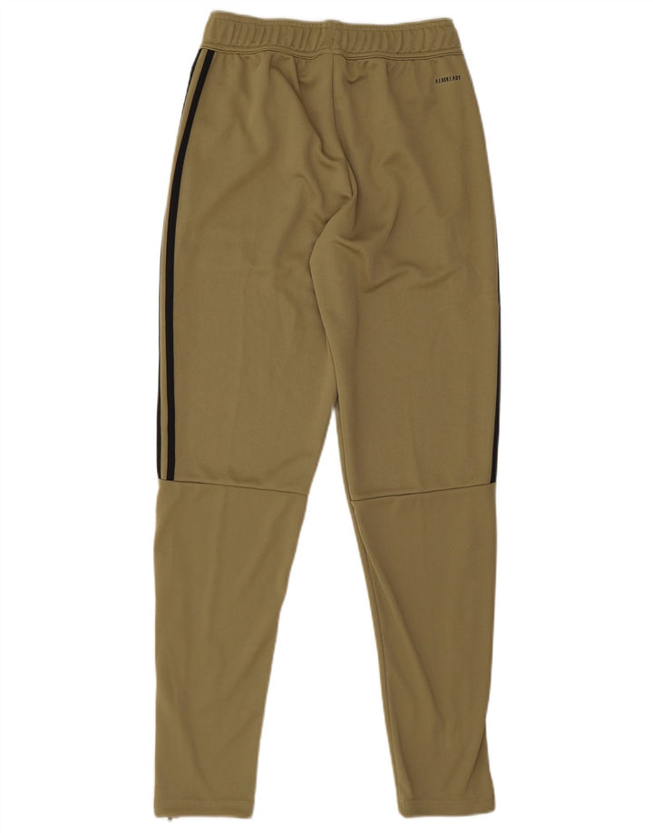 Pantaloni da tuta Adidas da uomo piccoli in poliestere kaki
