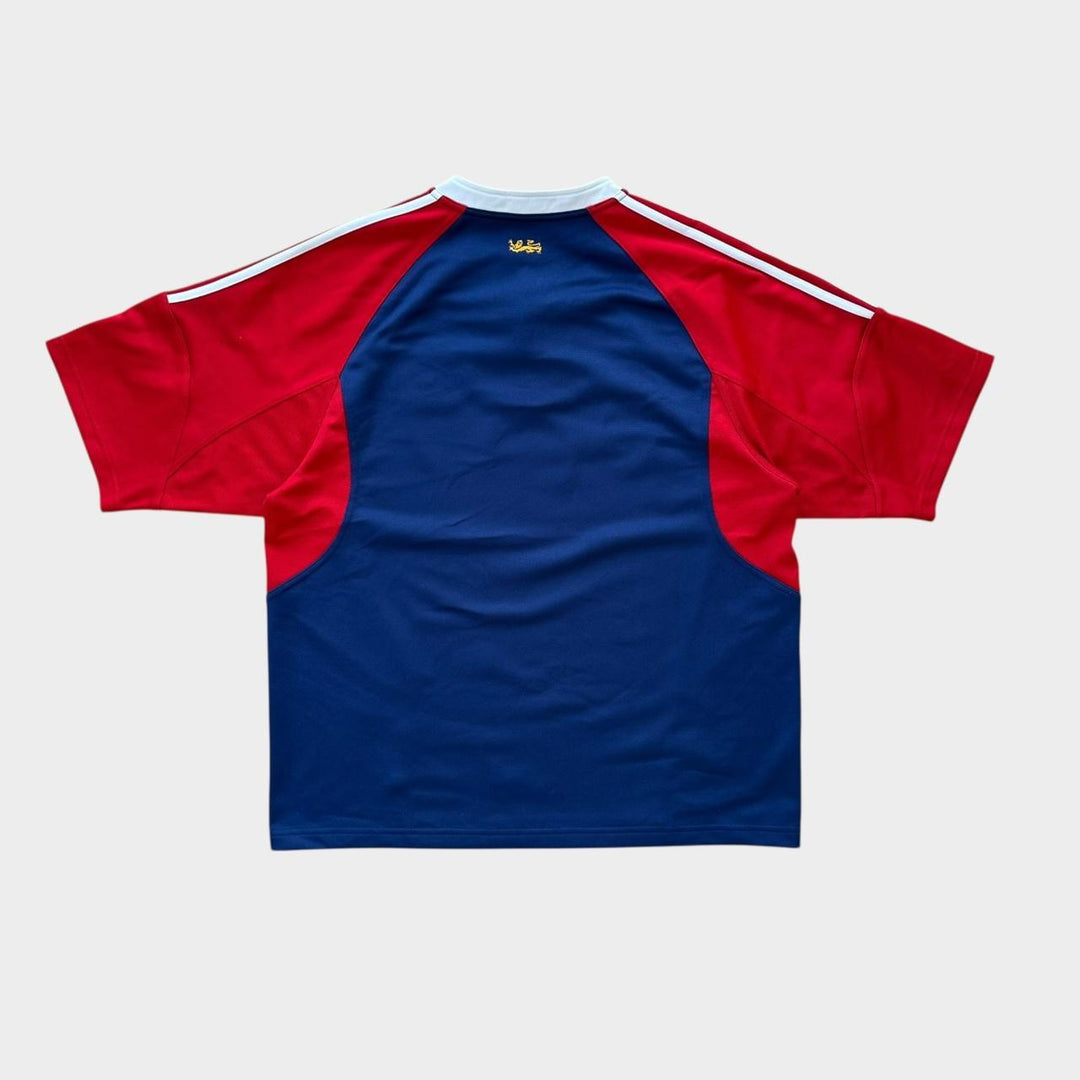 Maglia da rugby vintage dei Lions - grande