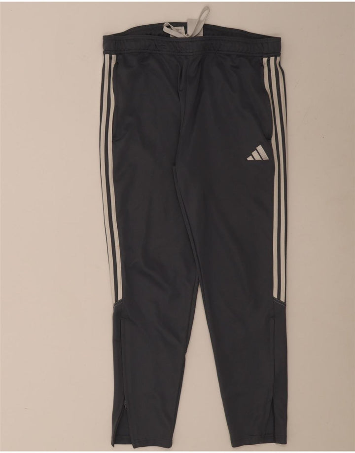 Pantaloni da tuta da uomo Adidas XL Poliestere grigio