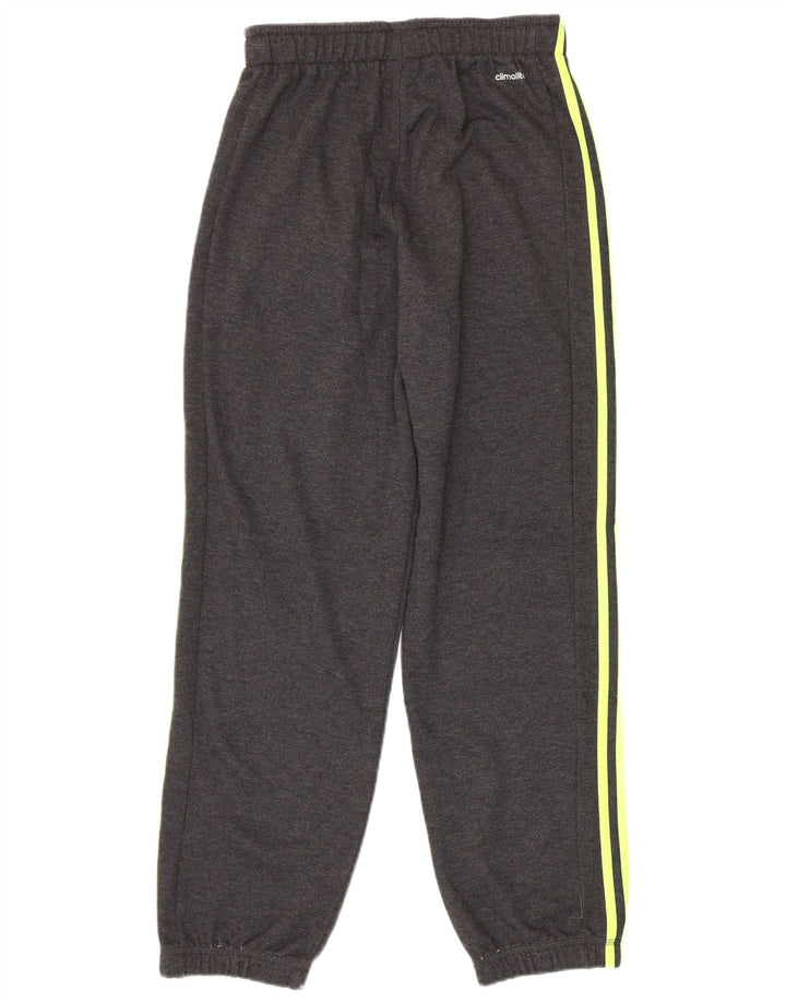 Pantaloni da tuta da uomo Adidas Climalite Joggers piccoli in poliestere grigio