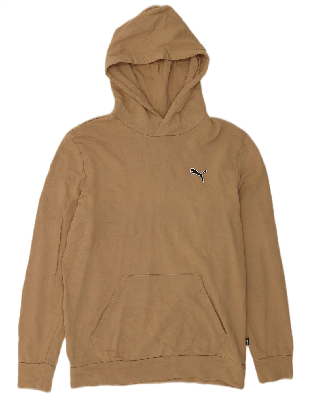 Felpa con cappuccio da uomo Puma Beige medio