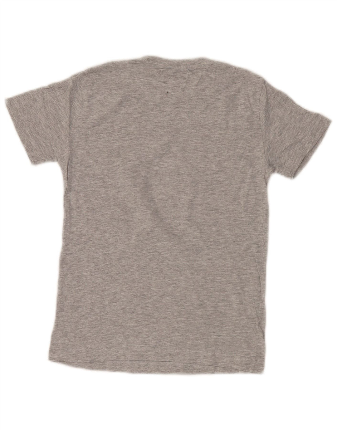 T-shirt grafica Zara per ragazzi, 7-8 anni, grigia