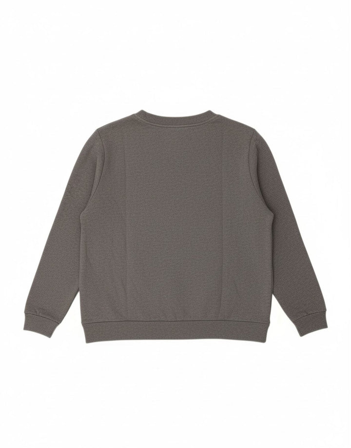 CALVIN KLEIN JEANS Mens Graphic Sweatshirt Jumper Small Grey