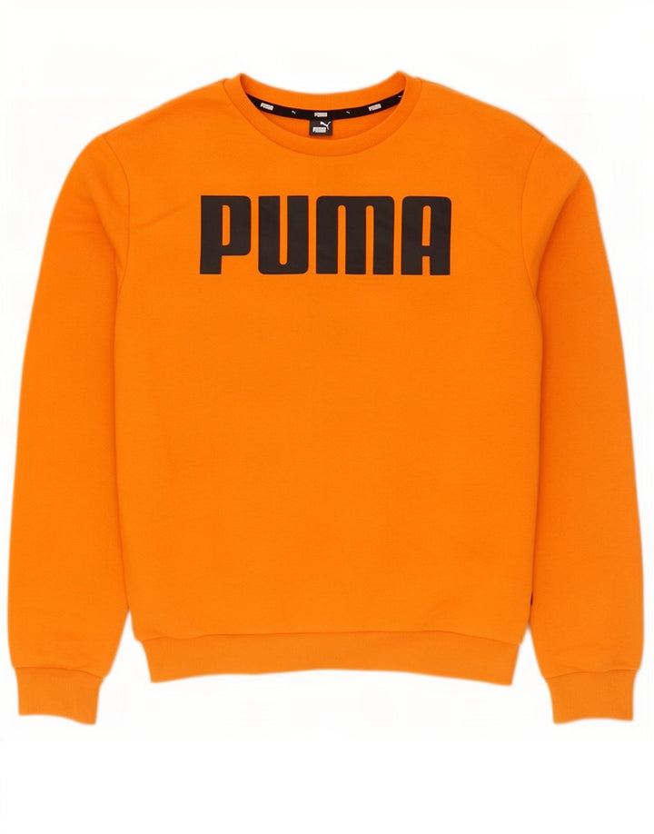 Felpa grafica da uomo Puma Maglione cotone arancione medio