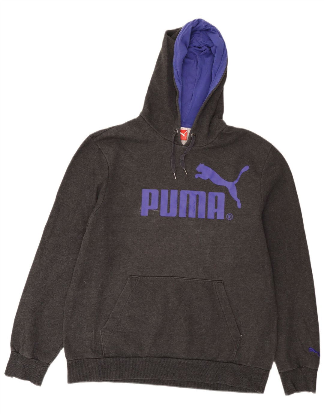 Felpa con cappuccio grafica da uomo Puma grande grigia