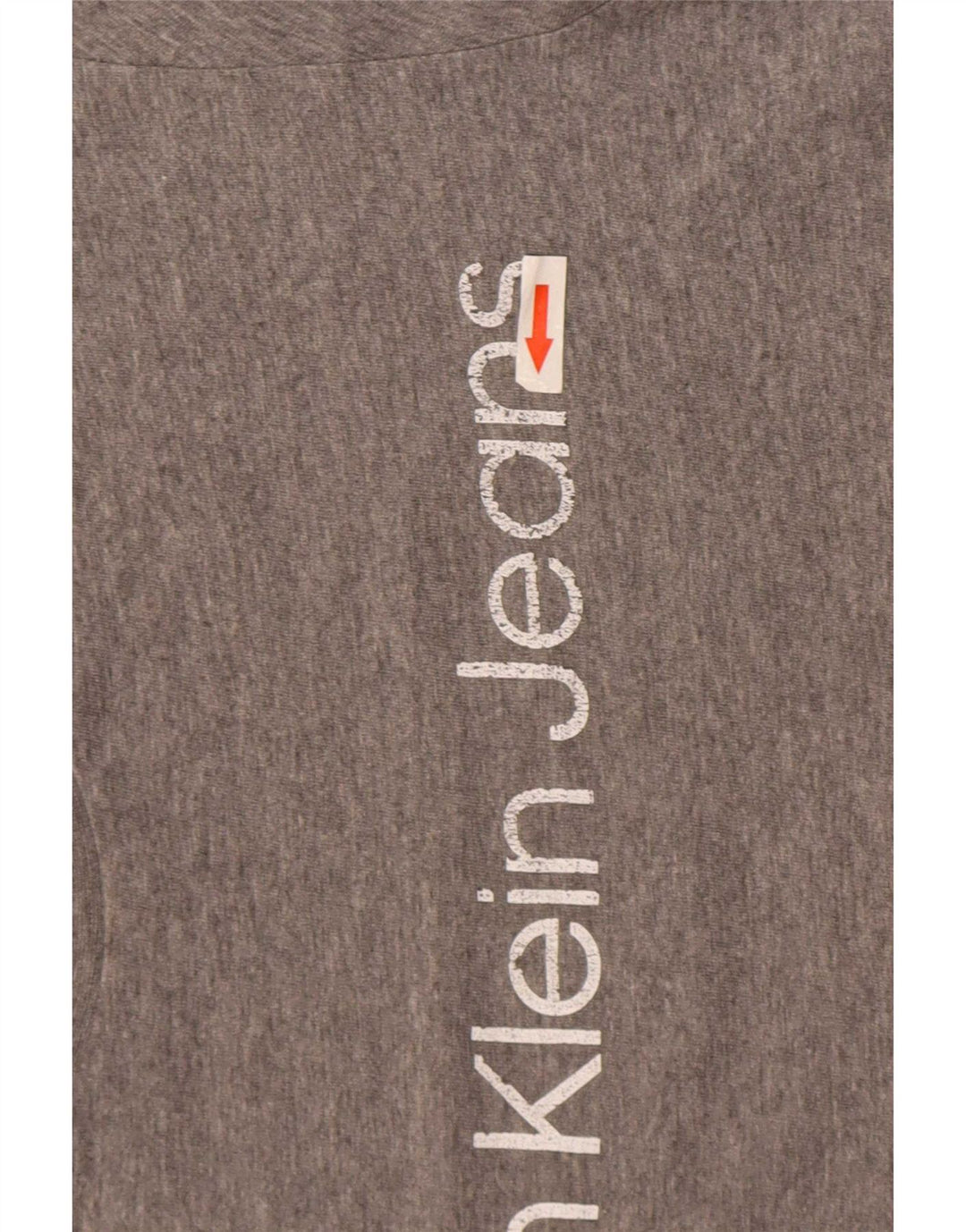 Maglietta grafica da uomo Calvin Klein Jeans Top Grigio medio