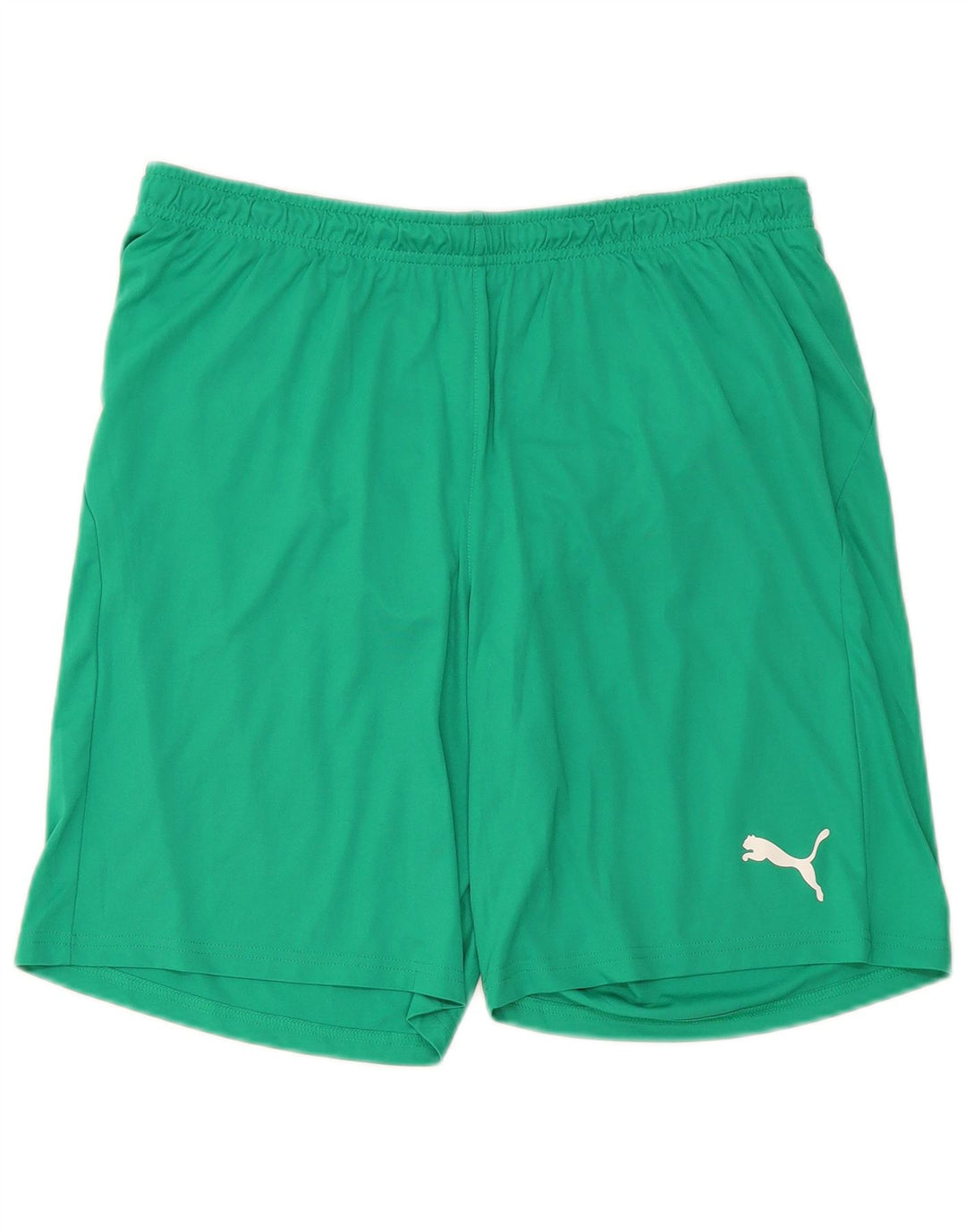 Pantaloncini sportivi Puma da uomo grandi in poliestere verde