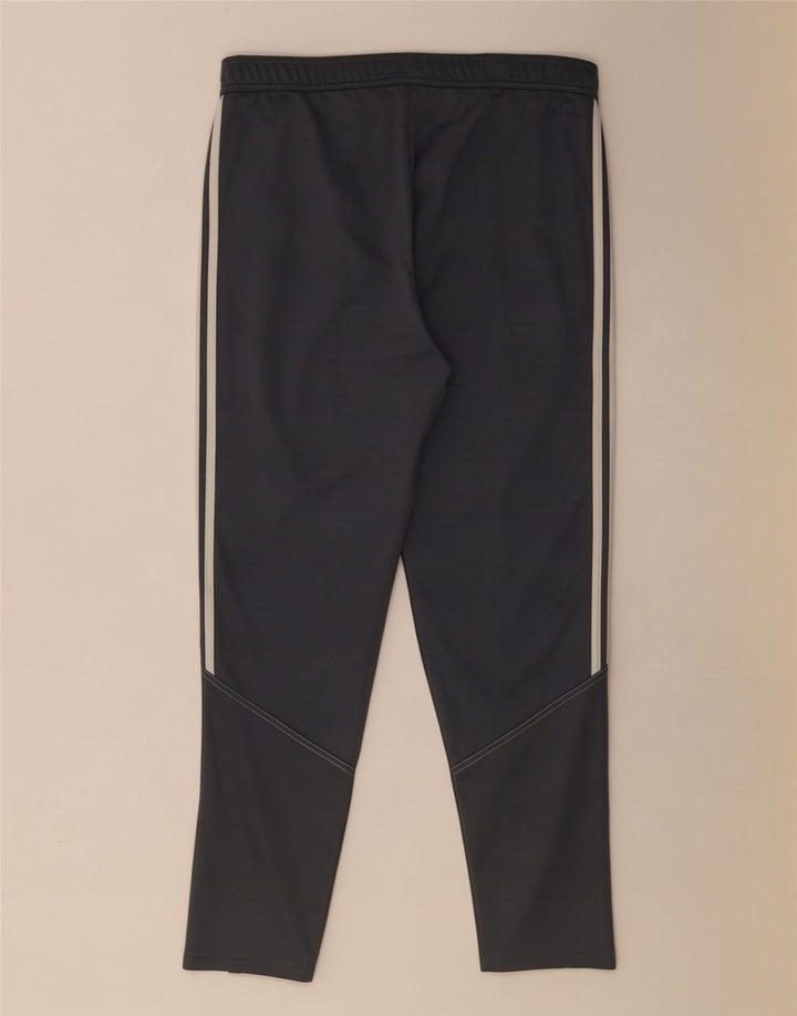 Pantaloni da tuta da uomo Adidas XL Poliestere grigio