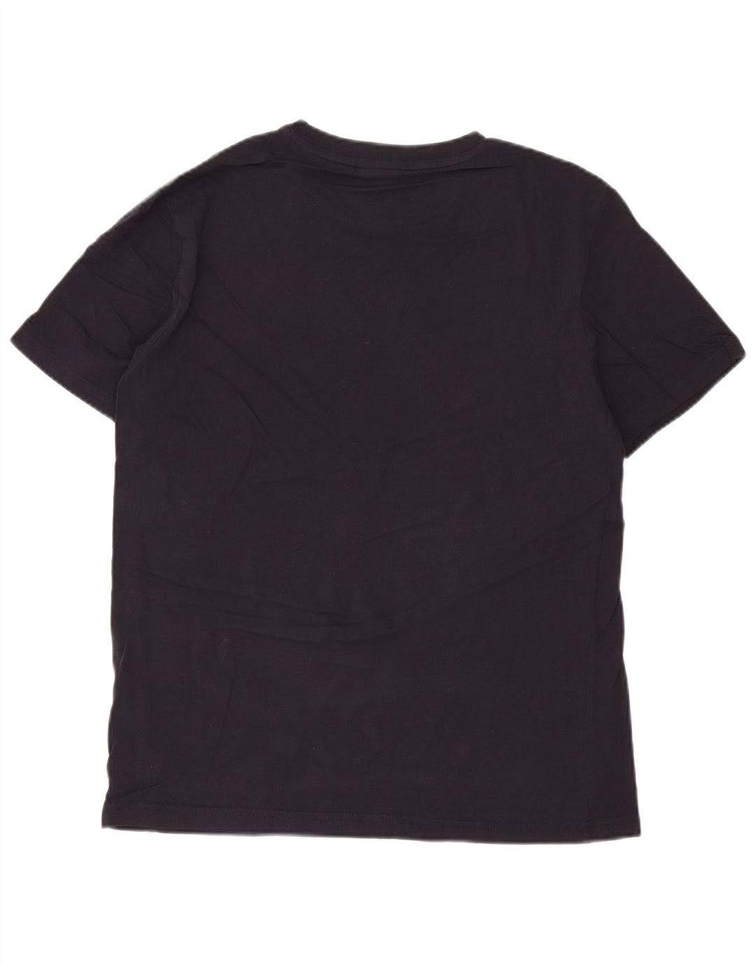 T-shirt grafica da uomo CHAMPION Top in cotone blu navy medio