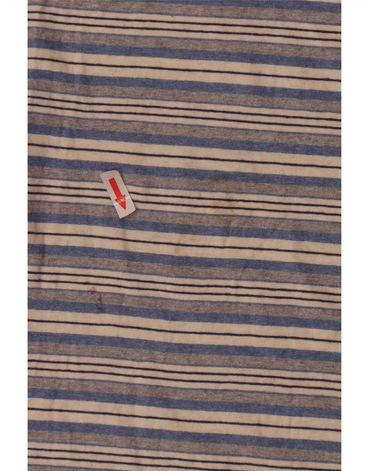 T-shirt da uomo Fat Face Top in cotone a righe blu grandi
