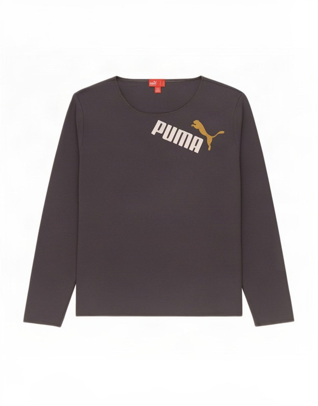 Puma Maglietta grafica da donna a maniche lunghe UK 16 Large Grigia